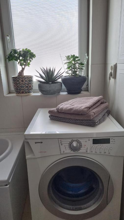 شقة Rasnov Loft المظهر الخارجي الصورة